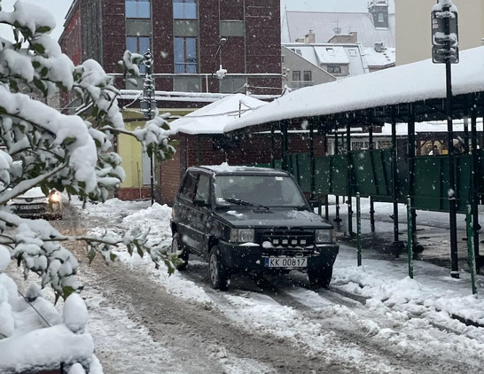 Fiat Panda cena 17500 przebieg: 176302, rok produkcji 1993 z Kraków małe 56